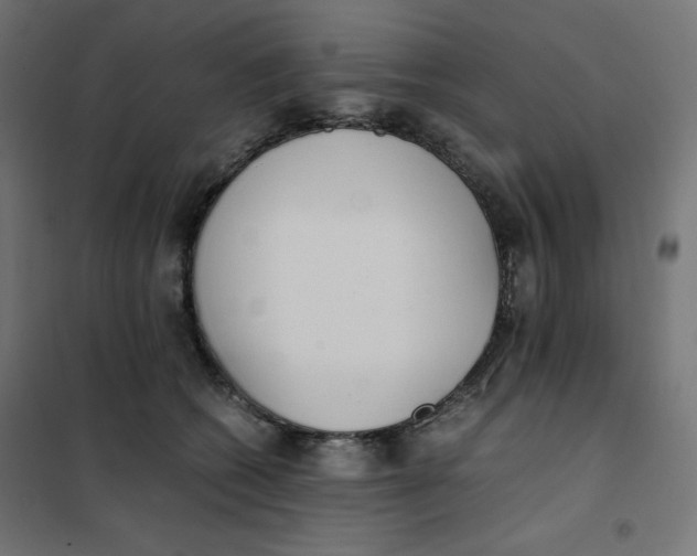 X0000101390562200807280940