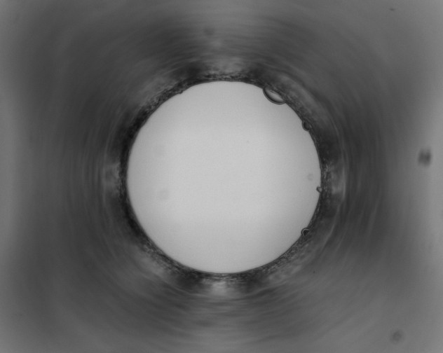 X0000101390564200807280940