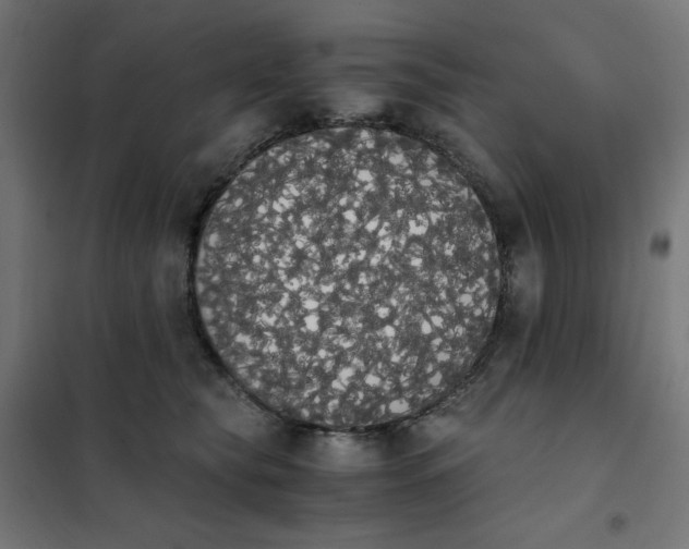 X0000101390565200807280940