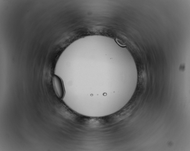 X0000101390566200807280940