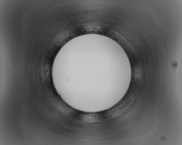 X0000101390567200807280940