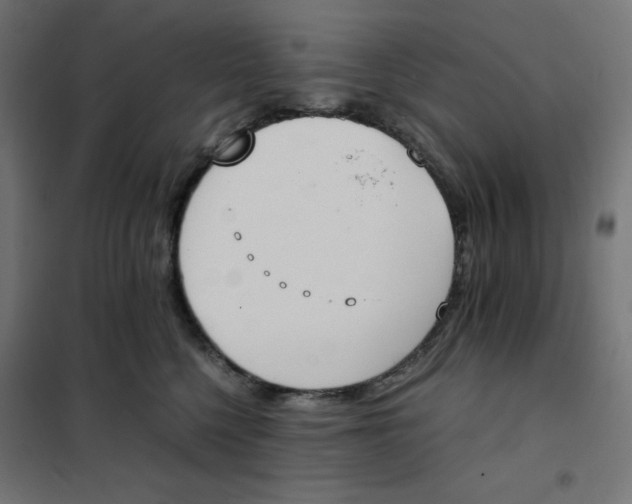 X0000101390568200807280940