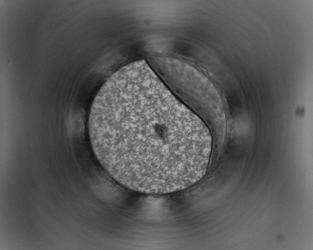 X0000101390570200807280940