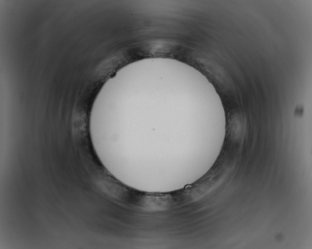 X0000101390571200807280940