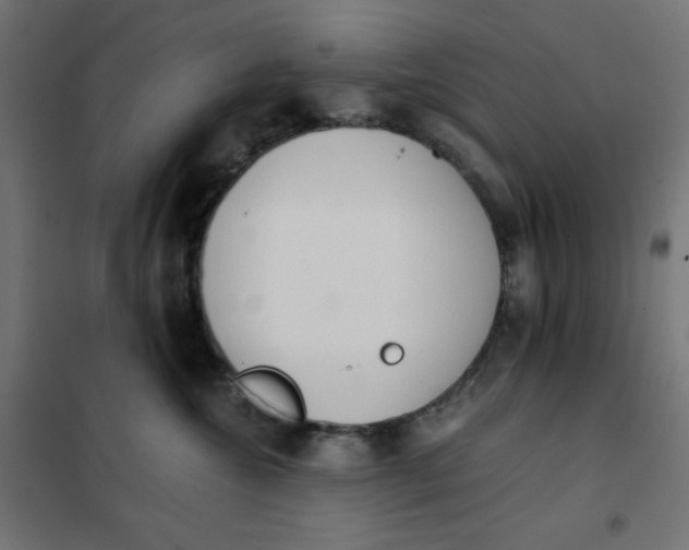 X0000101390572200807280940