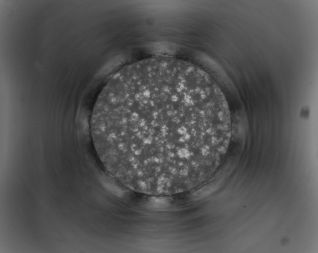 X0000101390573200807280940