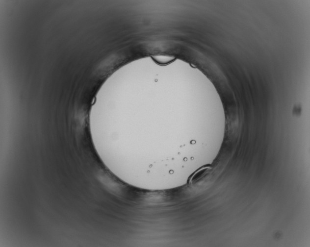 X0000101390574200807280940