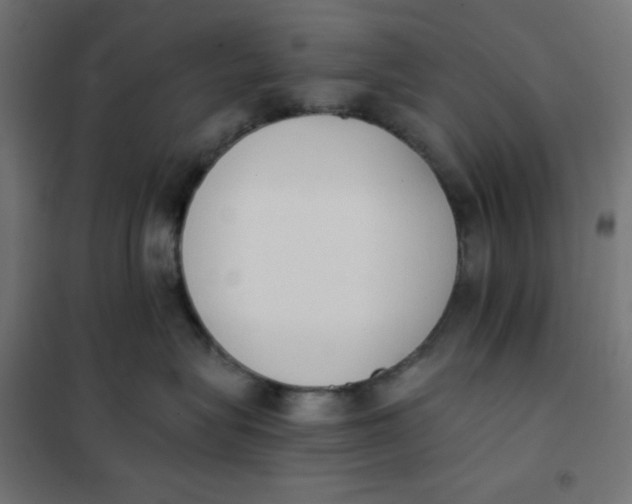 X0000101390575200807280940