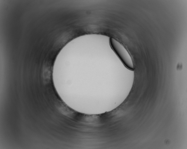 X0000101390576200807280940