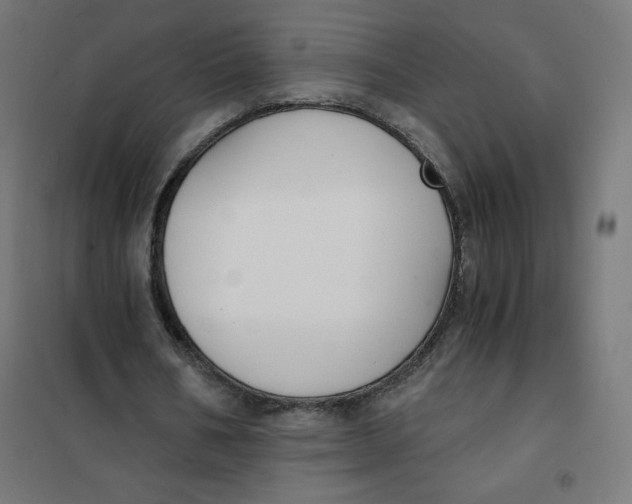X0000101390578200807280940