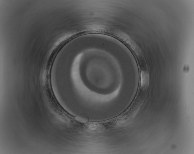X0000101390579200807280940
