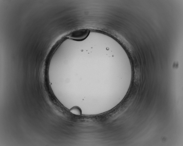 X0000101390580200807280940