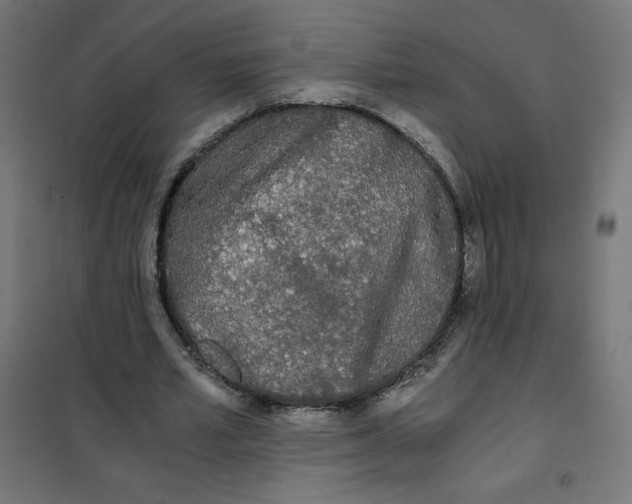 X0000101390581200807280940