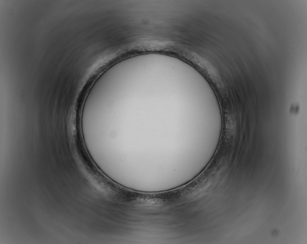 X0000101390582200807280940