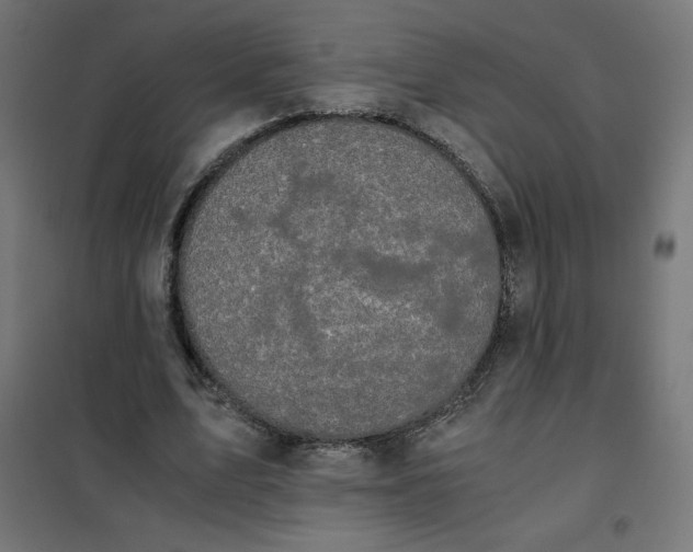 X0000101390583200807280940