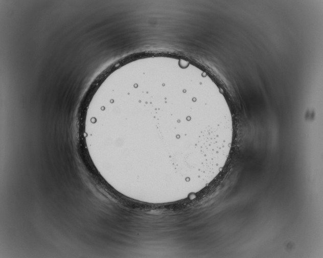 X0000101390584200807280940