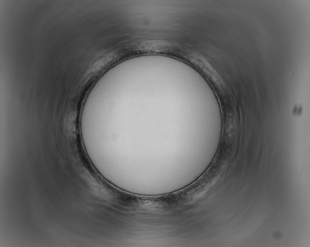 X0000101390585200807280940