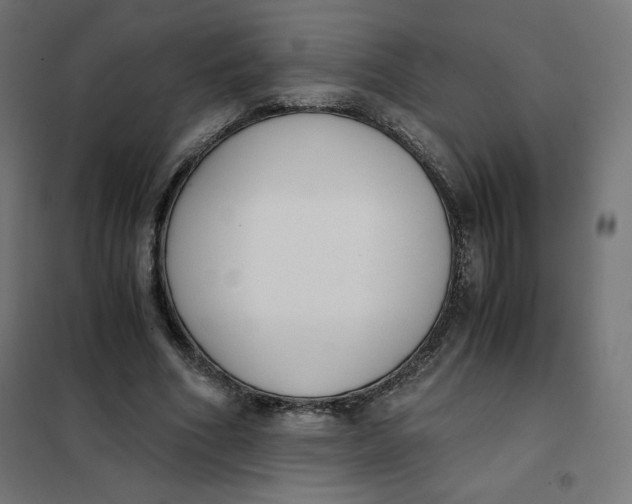 X0000101390586200807280940