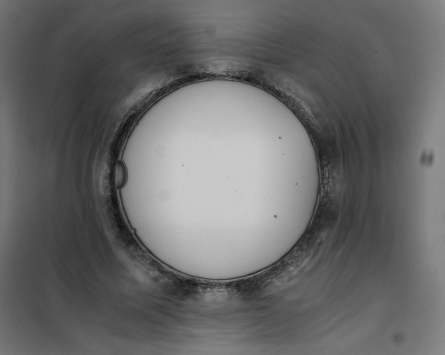 X0000101390587200807280940