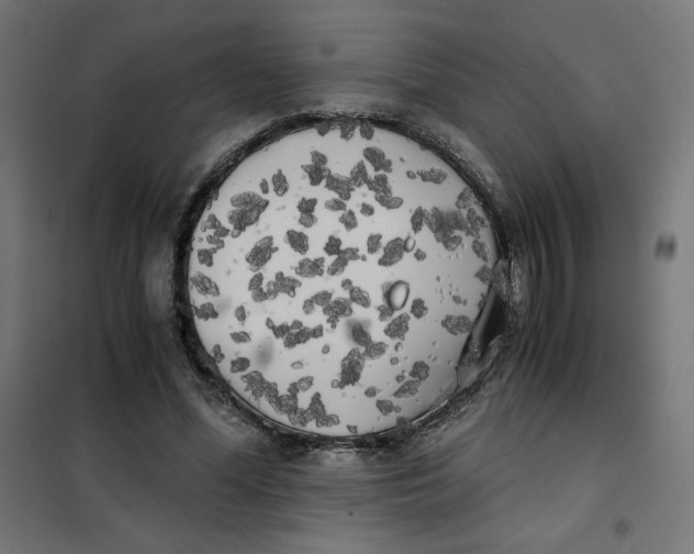 X0000101390588200807280939