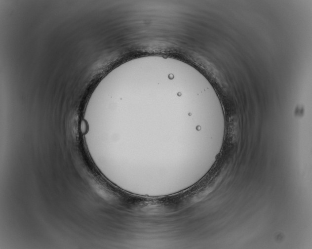 X0000101390589200807280939