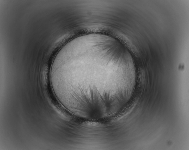 X0000101390590200807280939
