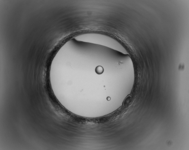 X0000101390592200807280939