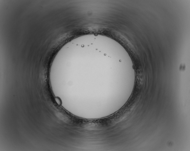 X0000101390593200807280939