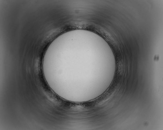 X0000101390594200807280939