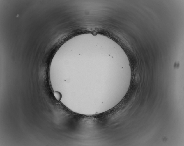 X0000101390595200807280939