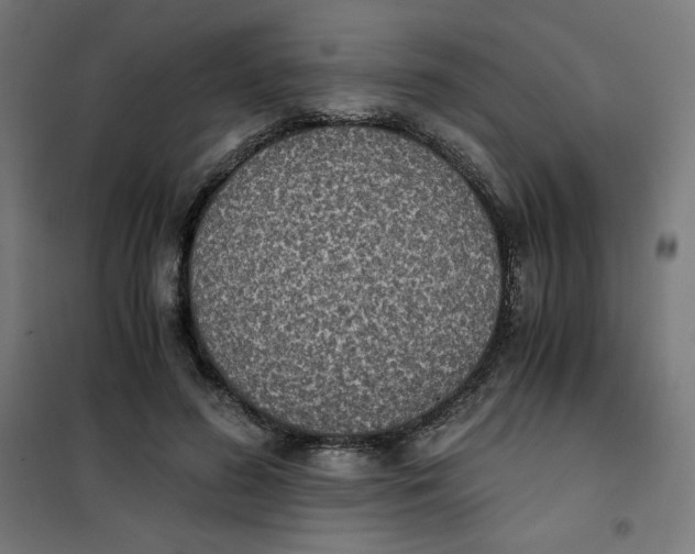 X0000101390596200807280939