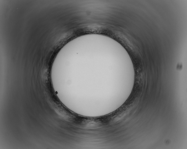 X0000101390597200807280939