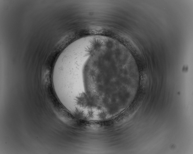 X0000101390598200807280939