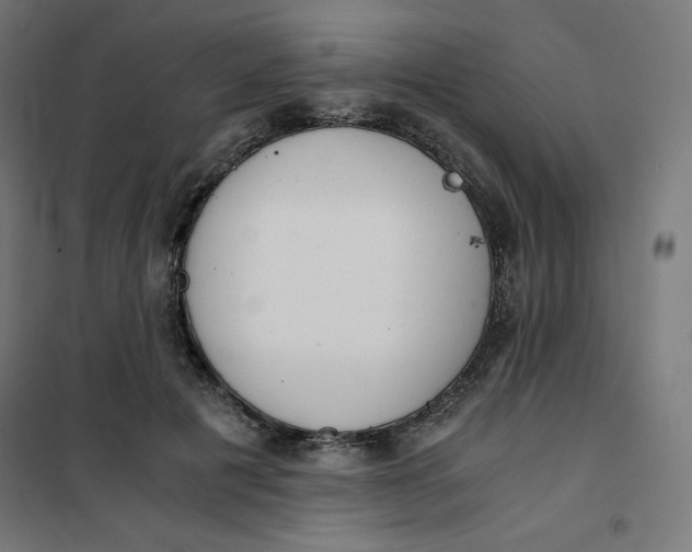 X0000101390601200807280939