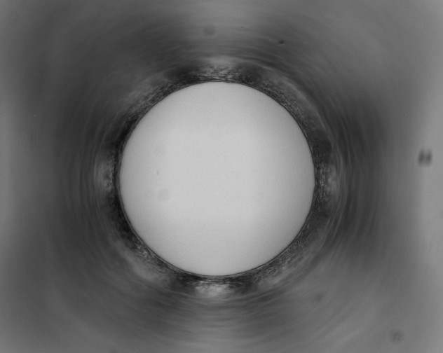 X0000101390602200807280939
