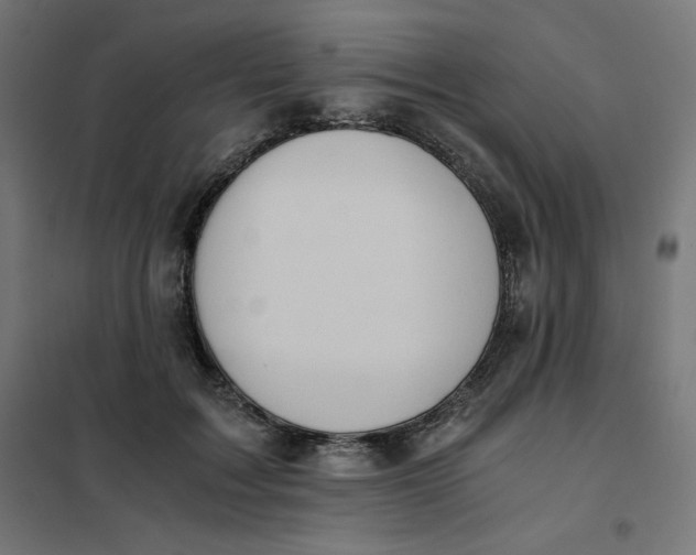 X0000101390603200807280939
