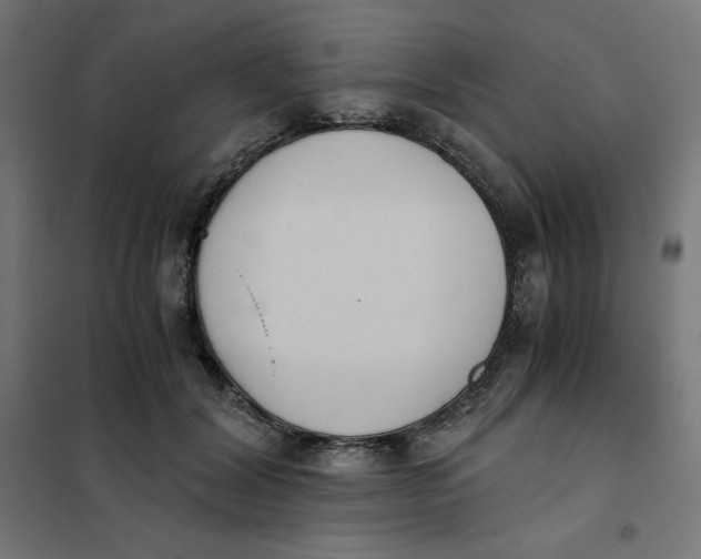 X0000101390604200807280939