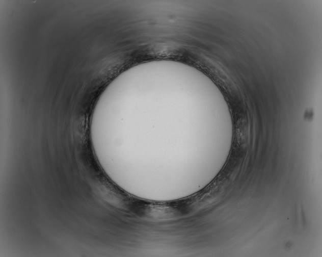X0000101390605200807280939