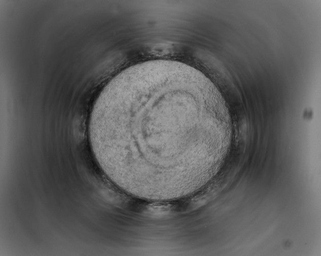 X0000101390606200807280939