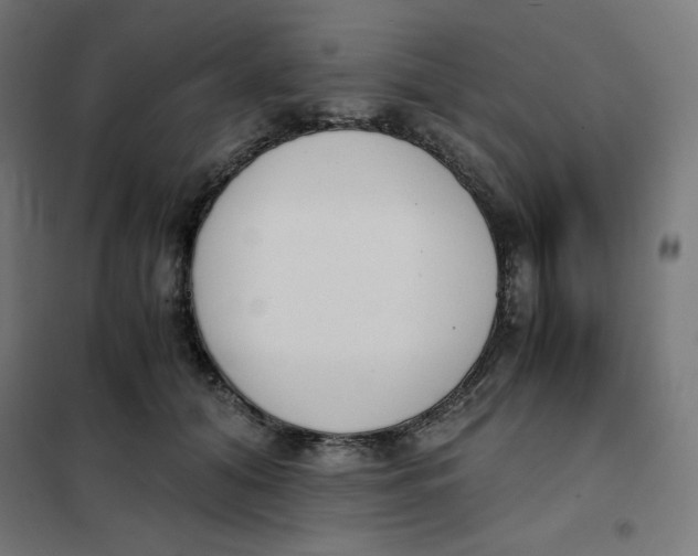 X0000101390608200807280939