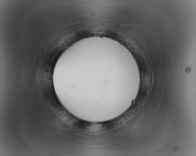 X0000101390609200807280939
