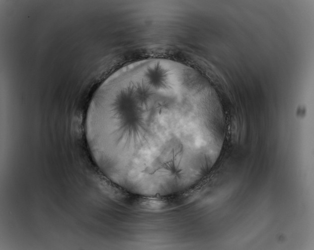 X0000101390610200807280939
