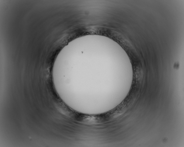 X0000101390611200807280939