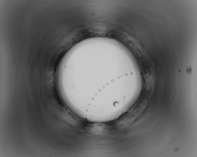 X0000101390612200807280939