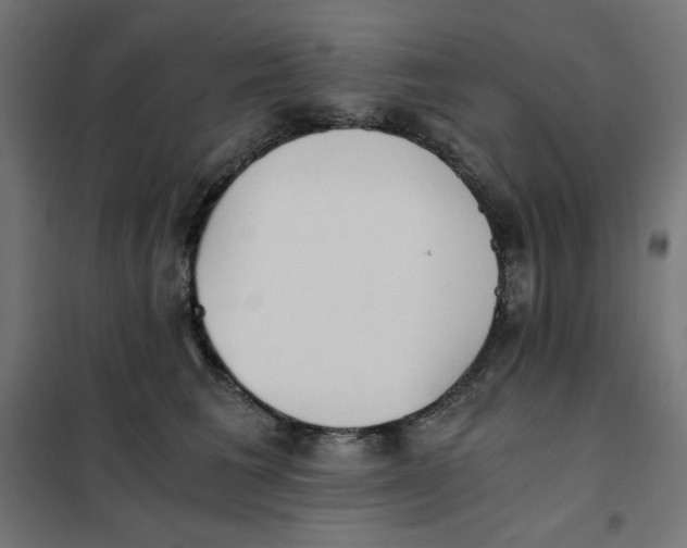 X0000101390613200807280939