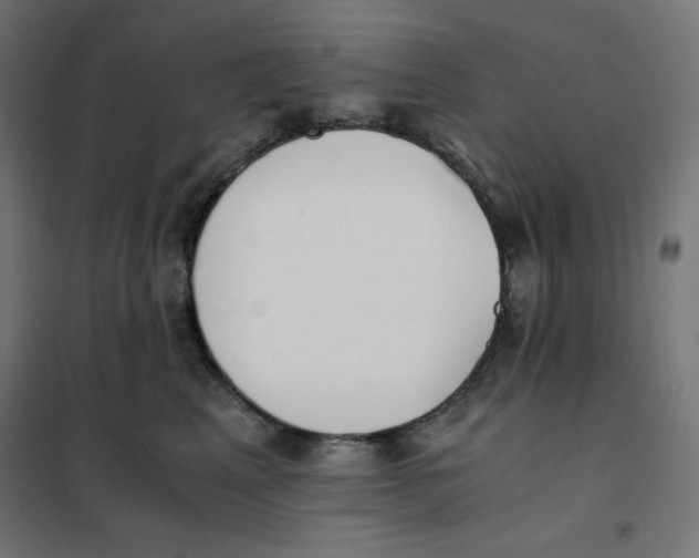 X0000101390617200807280939