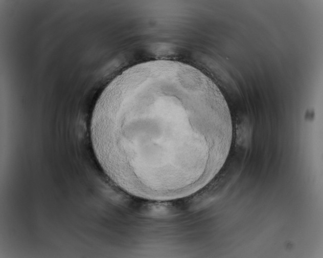 X0000101390618200807280939