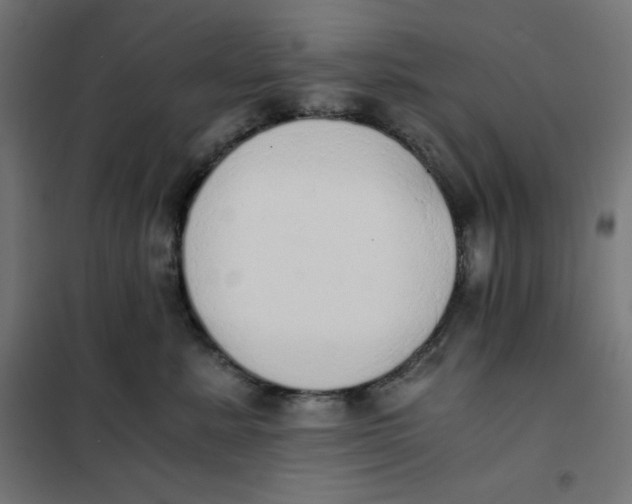 X0000101390619200807280939