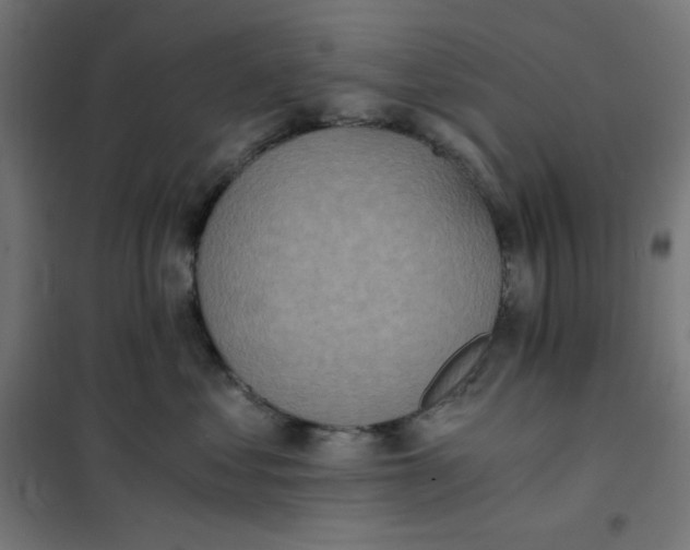 X0000101390621200807280939