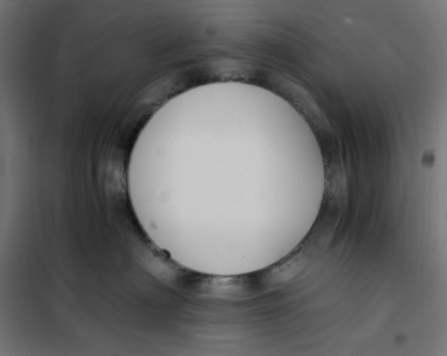 X0000101390622200807280939